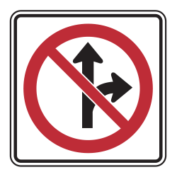 No Straight Through or Right / Left Turn