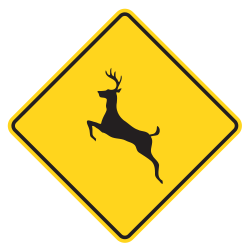 Deer Crossing