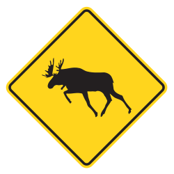 Moose Crossing