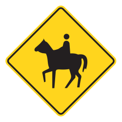 Horse And Rider