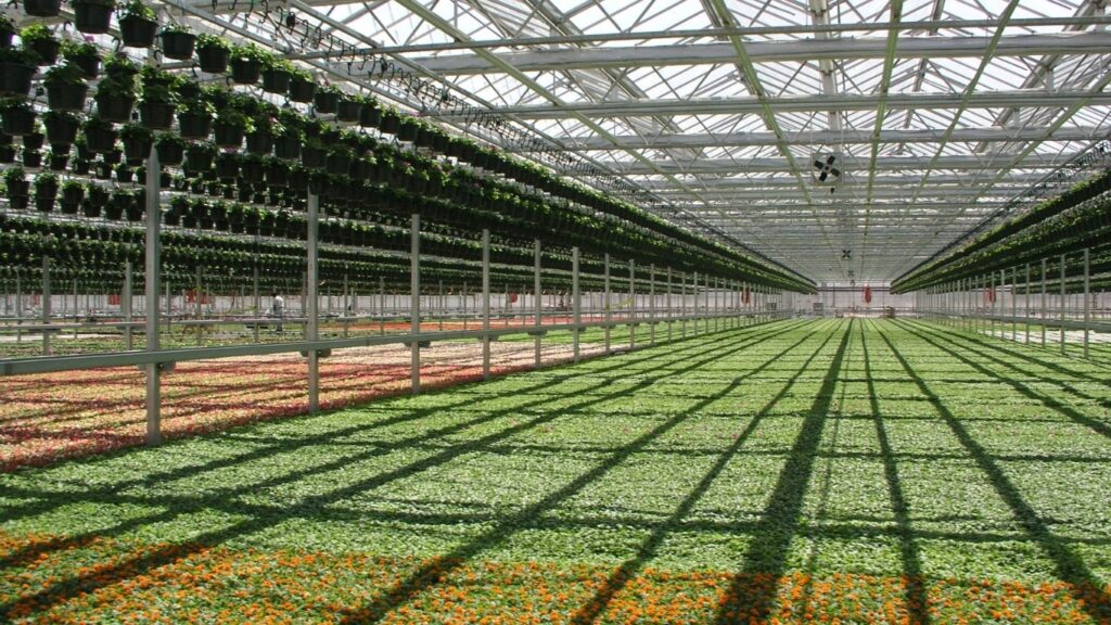 greenhouse interior
